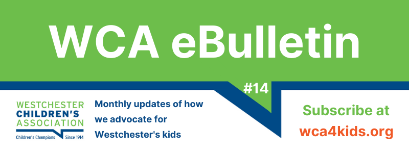 WCA Speaks Up for Kids to the 2022 New York State Budget Westchester County  Delegation - Westchester Children's Association - WCA4kids